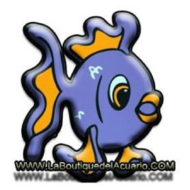 Imagen de WWW.LABOUTIQUEDELACUARIO.COM