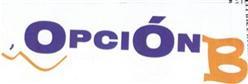 Imagen de OPCION B
