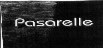 Imagen de PASARELLE