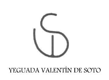 Imagen de YEGUADA VALENTIN DE SOTO