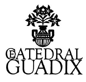 Imagen de CATEDRAL DE GUADIX