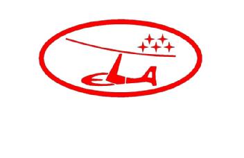 Imagen de ELA