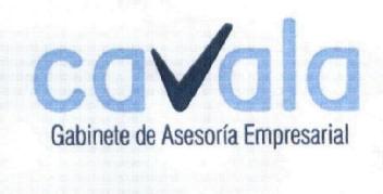 Imagen de CAVALA GABINETE DE ASESORIA EMPRESARIAL
