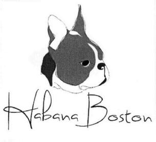 Imagen de HABANA BOSTON