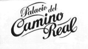 Imagen de PALACIO DEL CAMINO REAL