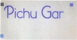 Imagen de PICHU GAR