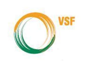 Imagen de VSF