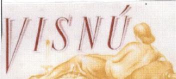 Imagen de VISNU