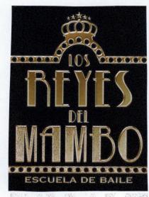 Imagen de LOS REYES DEL MAMBO ESCUELA DE BAILE