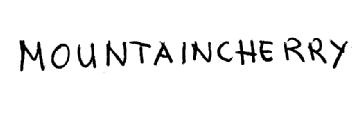 Imagen de MOUNTAINCHERRY
