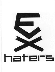 Imagen de HATERS