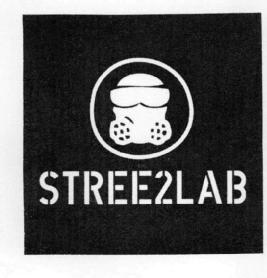 Imagen de STREE2LAB