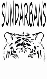 Imagen de SUNDARBANS