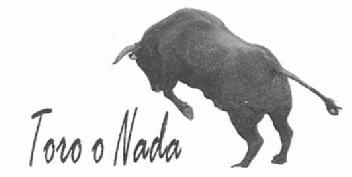 Imagen de TORO O NADA