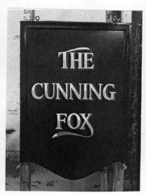 Imagen de THE CUNNING FOX