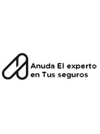 Imagen de ANUDA EL EXPERTO EN TUS SEGUROS