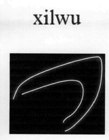Imagen de XILWU