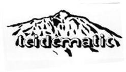 Imagen de TEIDEMATIC