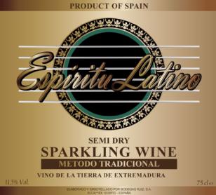 Imagen de ESPIRITU LATINO