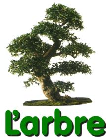 Imagen de L' ARBRE