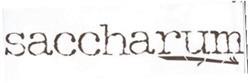 Imagen de SACCHARUM