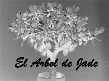 Imagen de EL ARBOL DE JADE