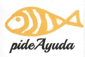 Imagen de PIDE AYUDA