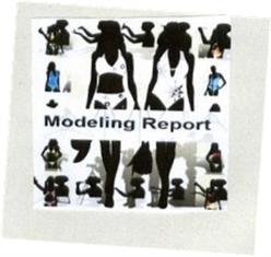 Imagen de MODELING REPORT