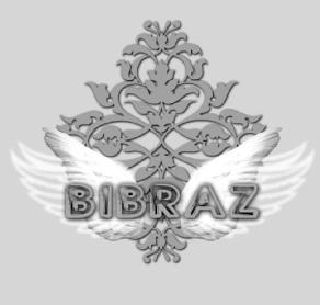 Imagen de BIBRAZ