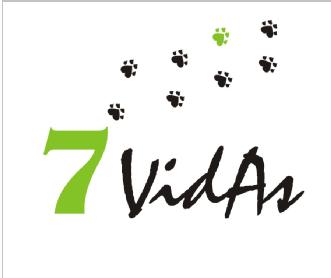 Imagen de 7 VIDAS
