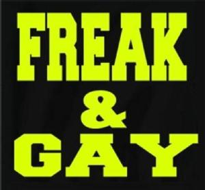 Imagen de FREAK & GAY
