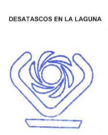 Imagen de DESATASCOS EN LA LAGUNA