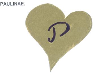 Imagen de PAULINAE