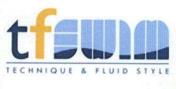 Imagen de TFSWIM TECHNIQUE & FLUID STYLE