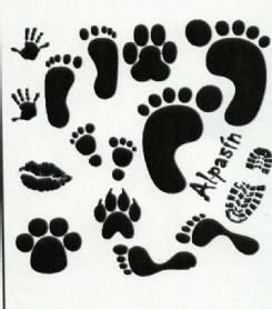 Imagen de ALPASIN
