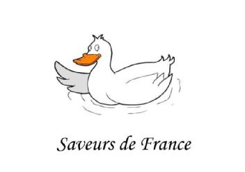 Imagen de SAVEURS DE FRANCE