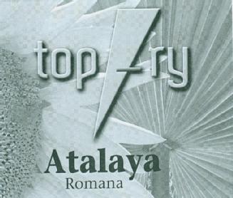 Imagen de TOP-RY ATALAYA ROMANA