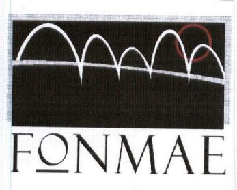 Imagen de FONMAE