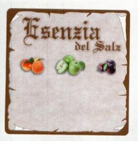 Imagen de ESENZIA DEL SALZ