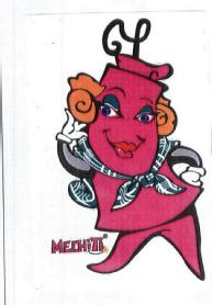 Imagen de MECHITA