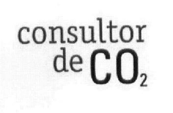 Imagen de CONSULTOR DE CO2