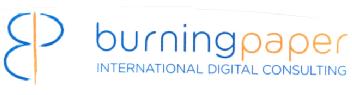 Imagen de BURNING PAPER INTERNATIONAL DIGITAL CONSULTING