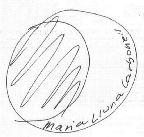 Imagen de MARIA LLUNA CARBONELL