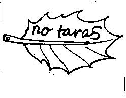 Imagen de NO TARAS