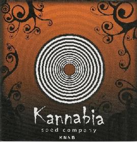 Imagen de KANNABIA SEED COMPANY KNNB