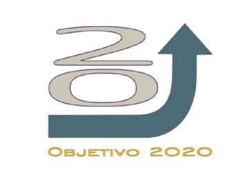 Imagen de 20 OBJETIVO 2020