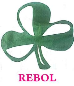 Imagen de REBOL