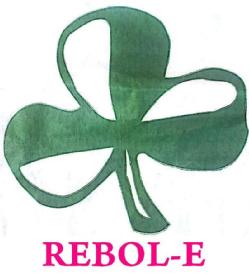 Imagen de REBOL-E
