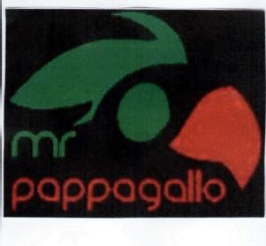 Imagen de MR PAPPAGALLO