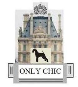 Imagen de ONLY CHIC